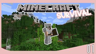 An AMAZING New Adventure! | Minecraft 1.20 Survival Let's Play - Ep 1