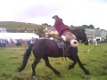 cossack horseman @ ardara show 09 pt 2