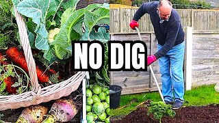 The No-Dig Revolution: Transform Your Soil Without Tilling Or Digging