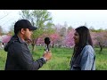 japan मा पहिलो बर्ष को भोगाई experience nepali student in japan tokyo goreto from tokyo