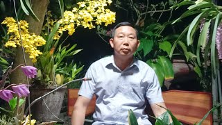 Thư giãn chuyện lan - Người nông dân trồng lan