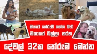 ඔයාට තේරුම් ගන්න බැරි ඔයාගේ බල්ලා කරන දේවල් 32ක තේරුම මෙන්න