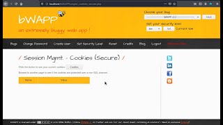 Session Mgmt Cookies Secure Low Security Level