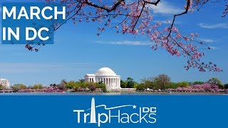 Tips for Visiting Washington DC in March