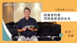 [活潑的生命] 20231021 因基督的愛 而剛強豐盛的生命(以弗所書3:14~21)