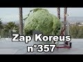 Zap Koreus n°357