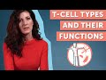 T Cell Types and Their Functions