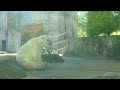 ポロロ とくしま動物園 １２０５ 今日も元気です