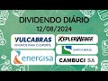 Dividendos do dia 12/08/2024 - VULC3 - STBP3 - KEPL3 - ENGI3 - ENGI4 - ENGI11- CAMB3 - WLMM3 - WLMM4