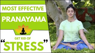 Anulom Vilom Pranayama | Pranayama For Stress And Anxiety | Manthena Satyanarayana Raju Latest Video