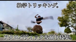 【独学】アクロバティックな蹴り技集