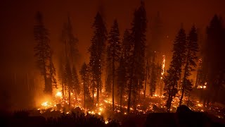 Riesiger Waldbrand bedroht Urlaubsgebiet in Kalifornien