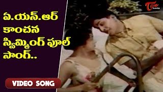 ఏ ఎన్ ఆర్, కాంచన స్విమ్మింగ్ పూల్ సాంగ్..| Dharma Daata Songs | ANR | Kanchana | Old Telugu Songs