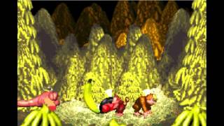 DKC(GBA) - Any% Tool-assisted Speedrun [TAS]