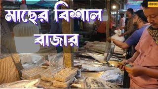 ঢাকার বিশাল মাছের বাজার। হাওর, বিল, নদী বা সামুদ্রিক মাছ / Fish price