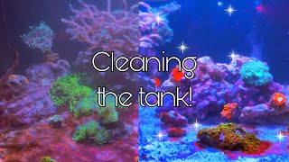 Reef Tank Maintenance [ Water Change /   Cleaning Dirty Sand Bed ]