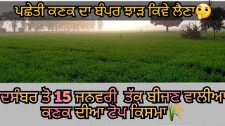 ਗੰਨਾ.ਮਟਰ.ਆਲੂਆ ਅਤੇ ਨਰਮੇ ਵਾਲੇ ਖੇਤਾ  ਪਛੇਤੀਆ ਬੀਜਣ ਵਾਲੀਆ ਕਣਕ ਦੀਆ ਕਿਸਮਾ@Sohipb87wala