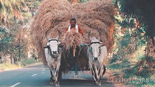 Into the NATURE | Cinematic Video |SAVE THE NATURE | Sony a6400 | Gobichettipalayam |