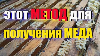 Как быть рекорды медопродуктивности. Как собрать много меда с одного улья. Вспомогательные семьи