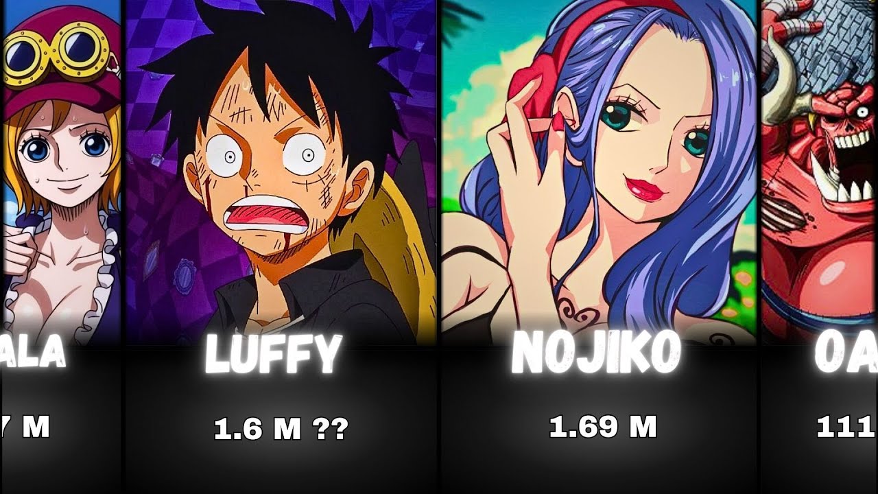 ONE PIECE Characters Size Comparison (Part 1) - YouTube