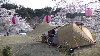 くしはら温泉ささゆりの湯キャンプ場桜でソロキャンプ