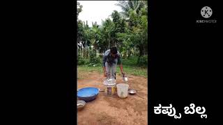 ಜೀವಾಮೃತ ತಯಾರಿಕೆ ಹಾಗೂ ಮಹತ್ವ|Jeevamruta preparation and it's Importance