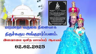 Marutha Madu Matha | திருச்சுரூப அங்குரார்ப்பணம் | St.James Church Ilavalai | 2025.