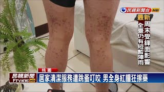 沒說有蟲! 清潔員遭跳蚤咬 全身紅腫崩潰逃－民視新聞