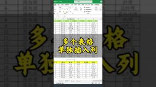 Excel 多个表格单独插入列#0基础学电脑 #office办公技巧 #文员零基础入门教程 #excel技巧 #办公技能