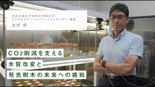 「CO₂削減を支える木質改変と発光樹木の未来への挑戦」奈良先端科学技術大学院大学 出村 拓 教授