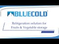 Blue Cold Refrigeration | Temperature controlled storage solution | Fruits & Vegetables