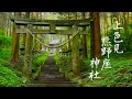 「異世界感」上色見熊野座神社を散策【熊本県阿蘇郡高森町】