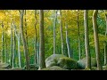 🌳 4K - Relaxing Nature Sounds For Stress Relief, Forest Sounds, Bird Song