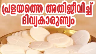 പ്രളയത്തെ അതിജീവിച്ച് ദിവ്യകാരുണ്യം | Sunday Shalom | Ave Maria