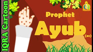 Prophet Stories AYUB (AS) | Islamic Cartoon | Quran Stories | Islamic Children Kids Videos - 13
