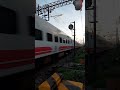 【普悠瑪】282次 自立新村平交道通過✅ 普悠瑪自強號 temu2000 puyuma 平交道 train railway