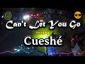 Can't Let You Go (mix sing along lyrics) - Cueshé