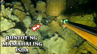 BUNTOT NG MAMAHALING ISDA 😱 | EPISODE 143 | NIGHT SPEARFISHING PHILIPPINES  | Drin's Adventure