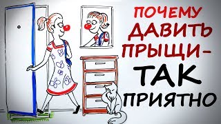 Почему давить прыщи так приятно? — Научпок