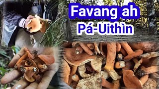 Favang Pa-Uithin zawnna//Zing kar boruak nuam tak ah