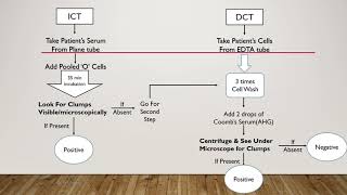 Coomb's Test | Du Test | Dr Ravi Kothari - Pathology Made Easy