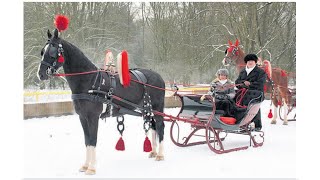 Rijden of Glijden op Tweede Kerstdag 2024 in Velsen met de Arrenslee