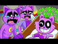 WHO KILLED CATNAP´S KITTEN!? Poppy Playtime Animation