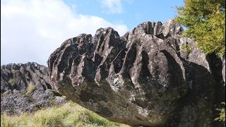 The Mystery of the World's Best Fluted Basalt