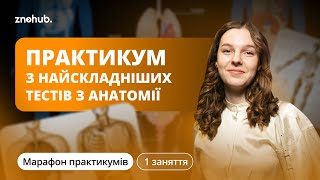 Практикум з найскладніших тестів з анатомії