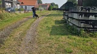 Museumseisenbahn Küstenbahn Ostfriesland (MKO)