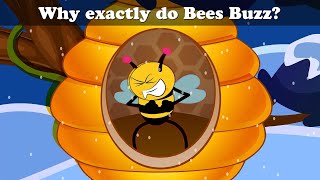 Why exactly do Bees Buzz? + more videos | #aumsum #kids #cartoon #science