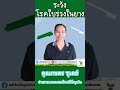 ระวังโรคใบร่วงในยางพารา