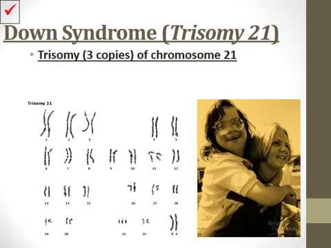 What will happen if there is an error in mitosis?