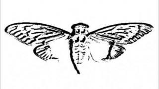 Voice on the Phone - Cicada 3301
